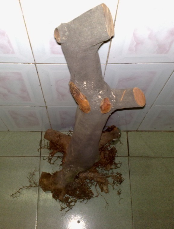 02.jpg