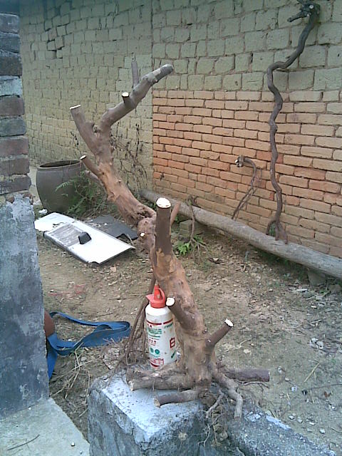 20130314(009).jpg