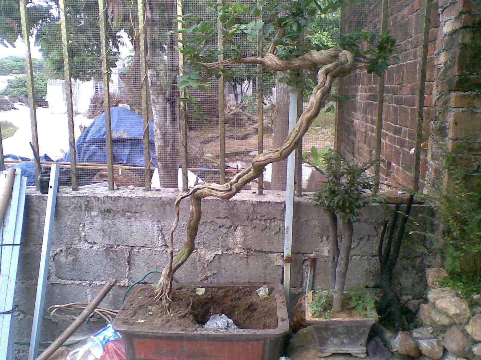 20130313.jpg
