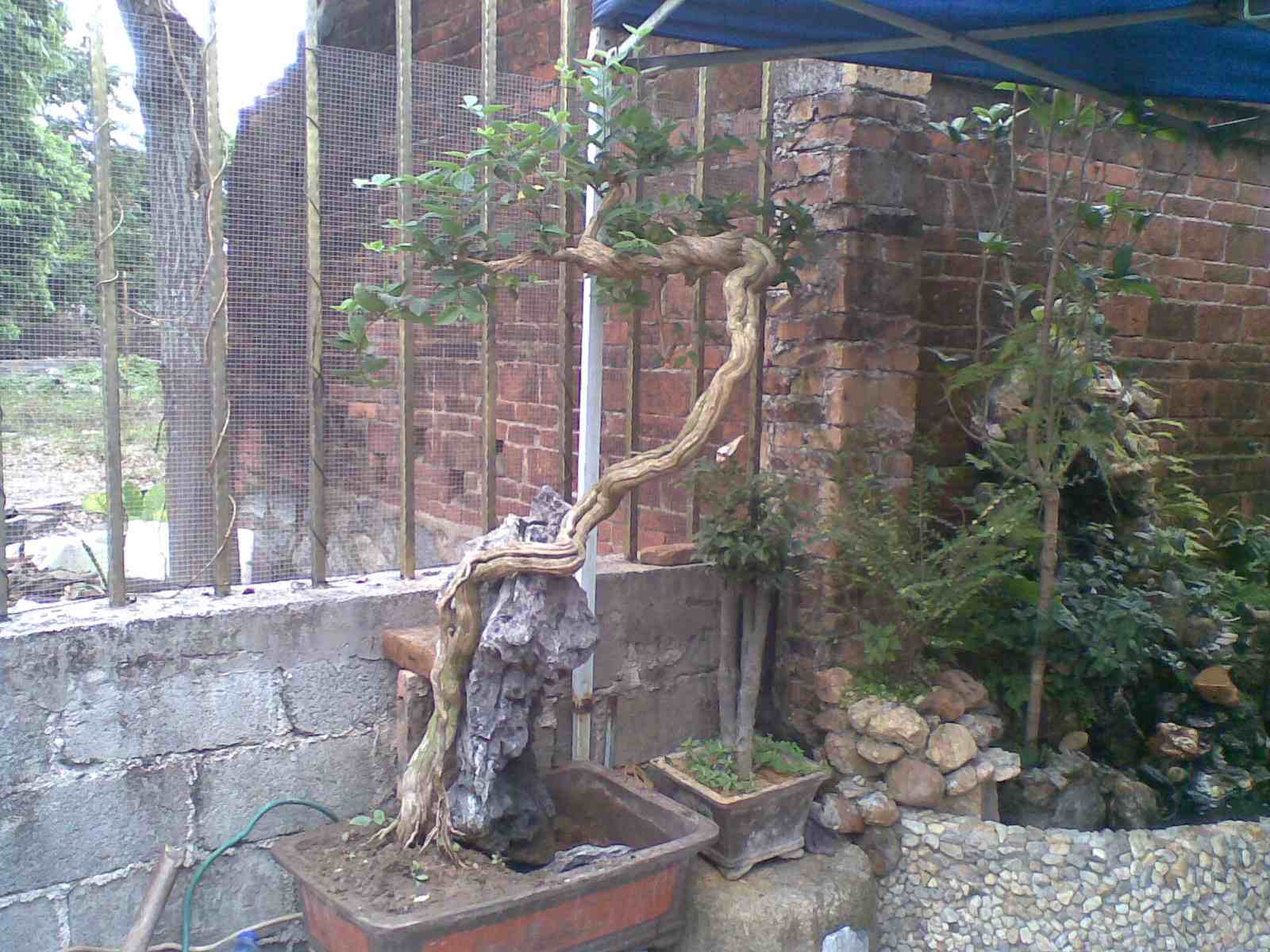 20130313(002).jpg