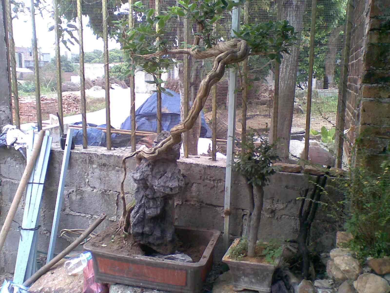 20130313(003).jpg