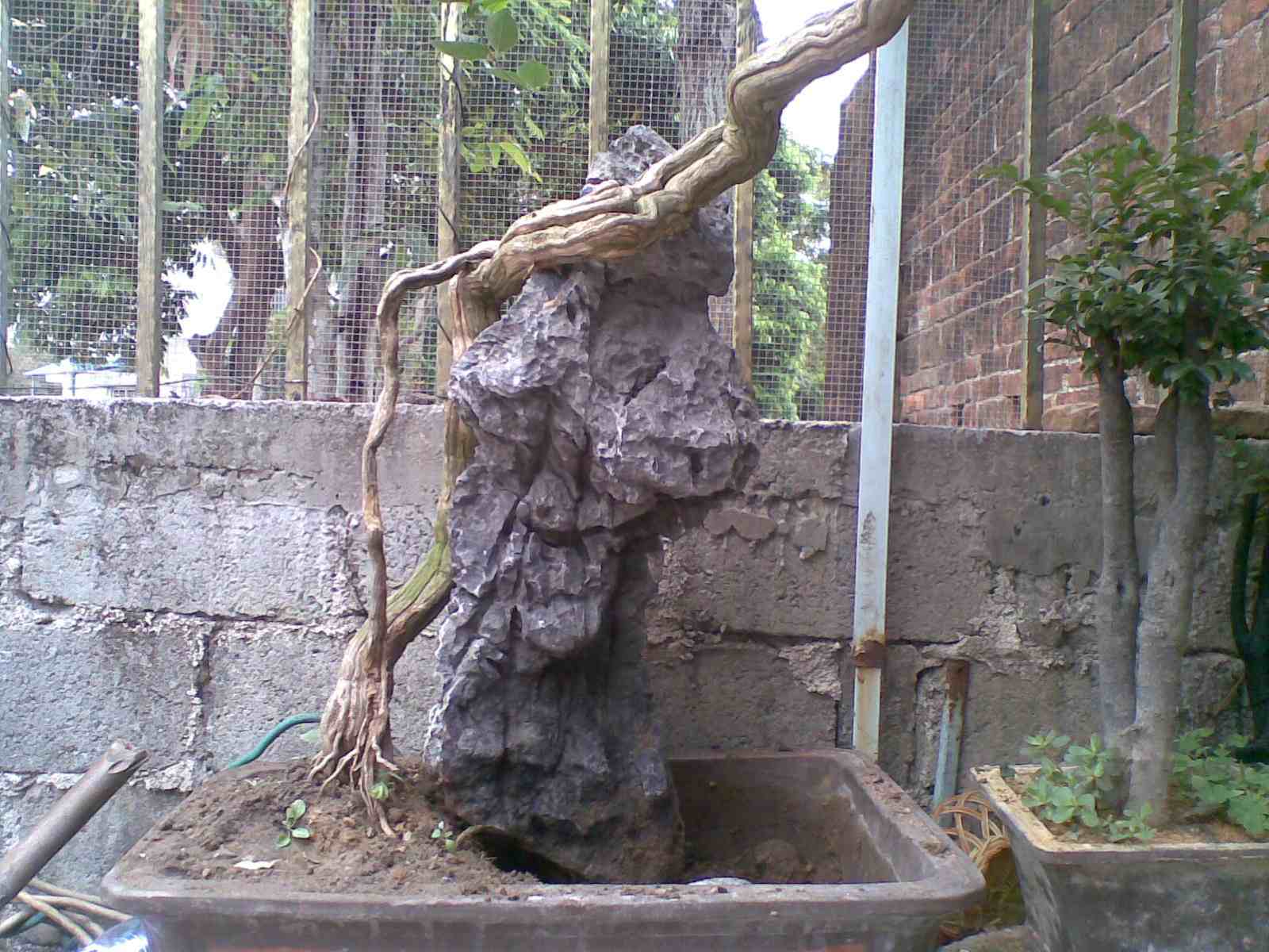 20130313(004).jpg