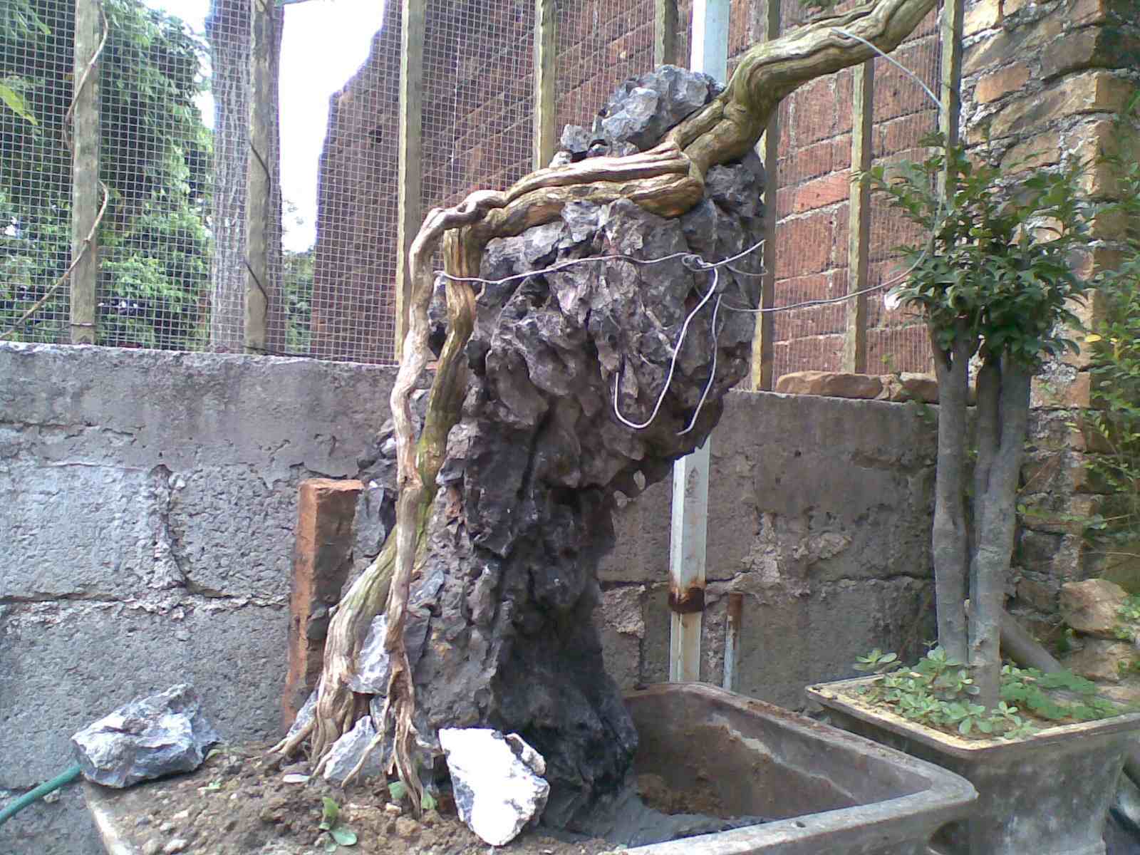 20130313(006).jpg