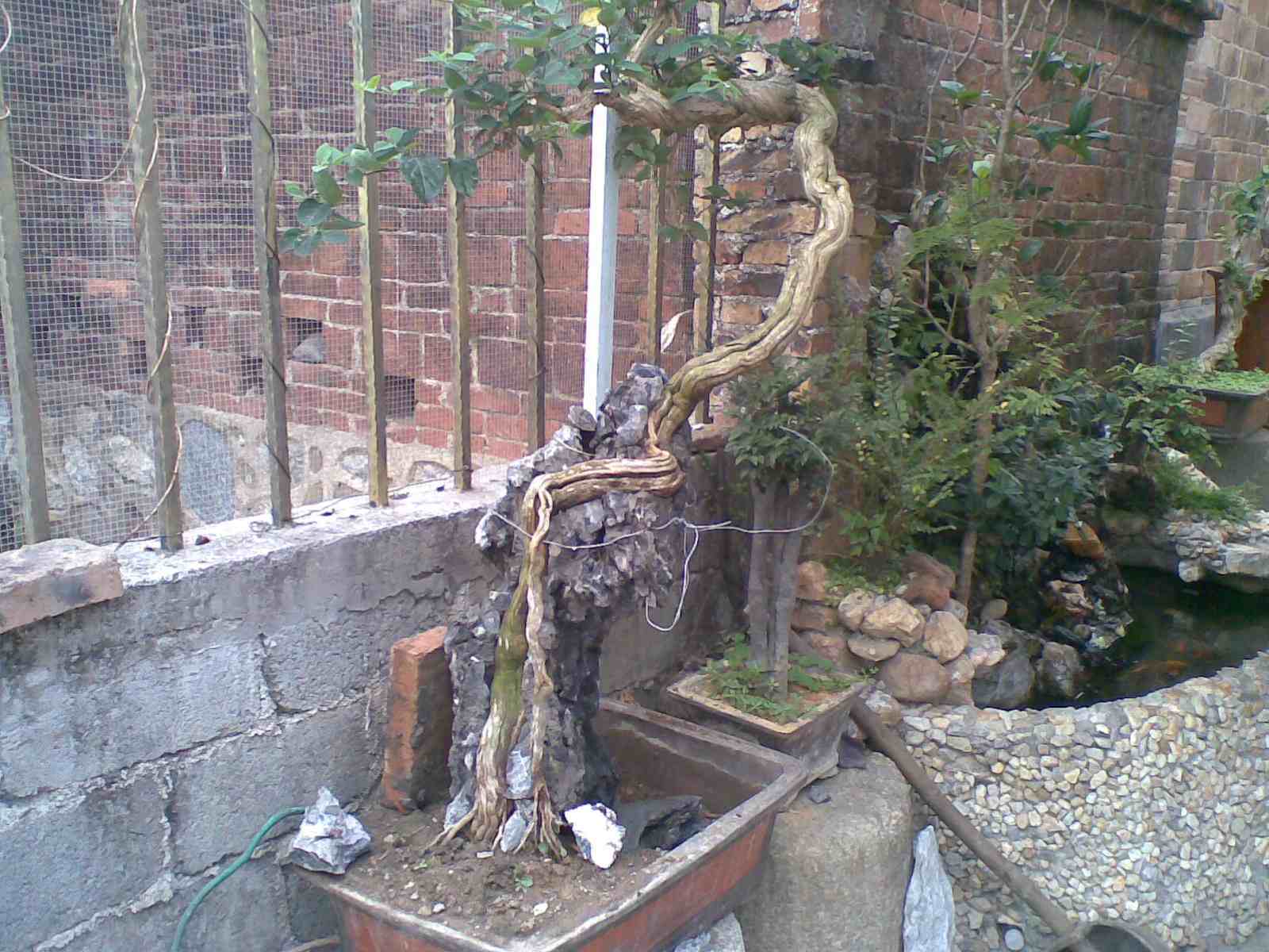 20130313(008).jpg
