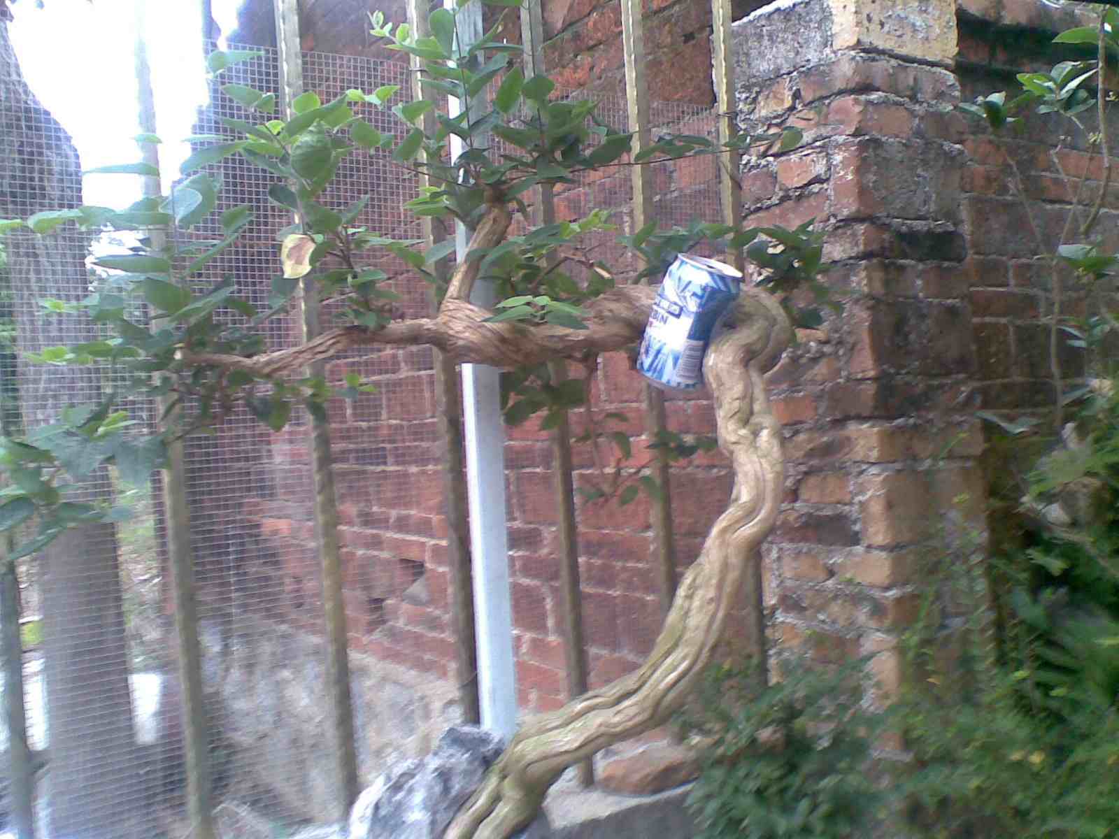 20130314(006).jpg