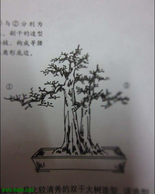 99A.jpg