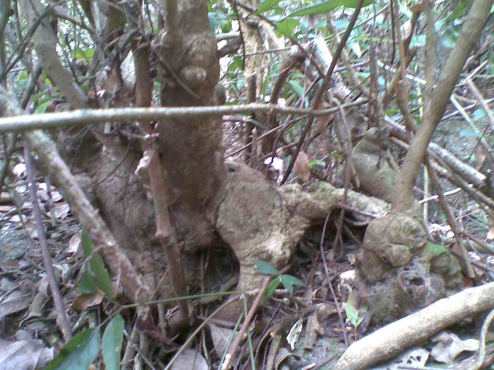 20130315.jpg