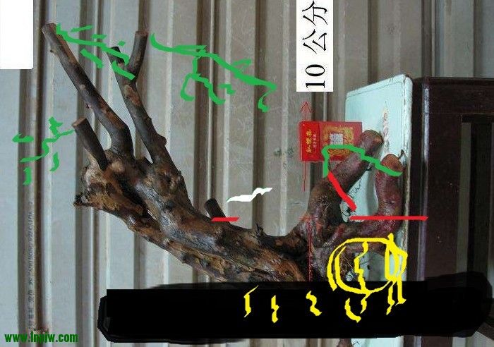 δ.jpg