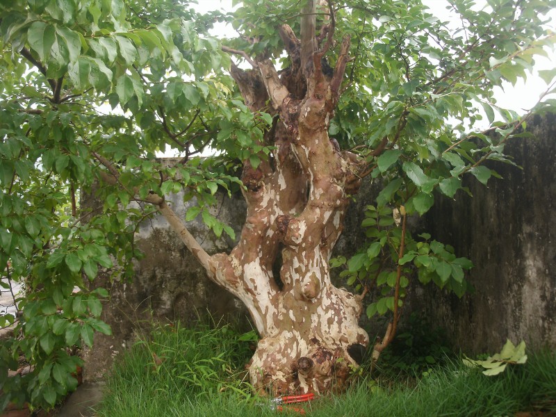 GEDC1268.jpg