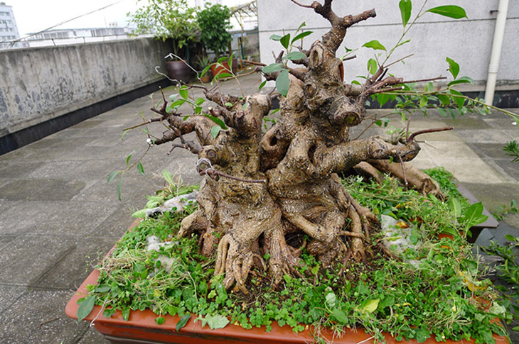 P1020880__.jpg