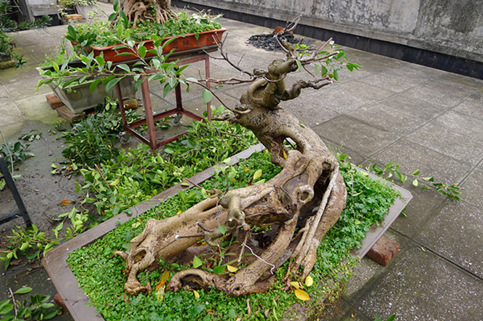 P1020884__.jpg