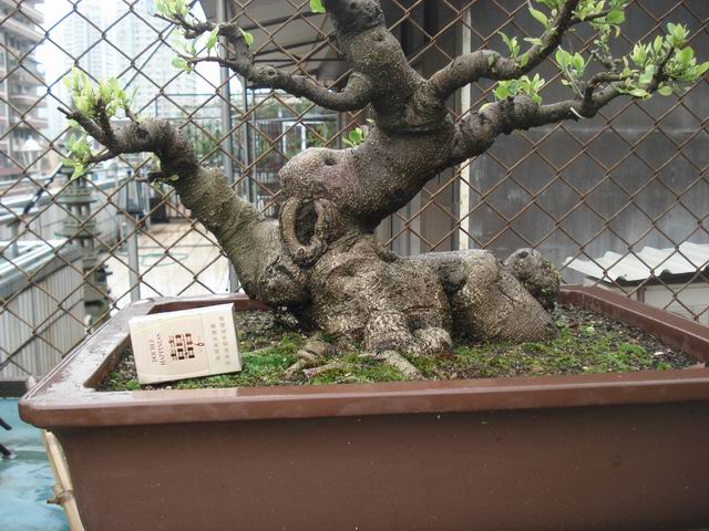 DSC00480.JPG