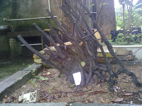20130521147_meitu_1.jpg