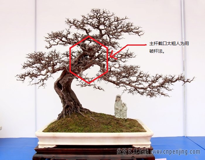 2012й()ڰ˽辰չľƷͣƷ131801xk0pxlx20r2r1ibl.jpg