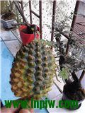 IMG_20130812_163136.jpg