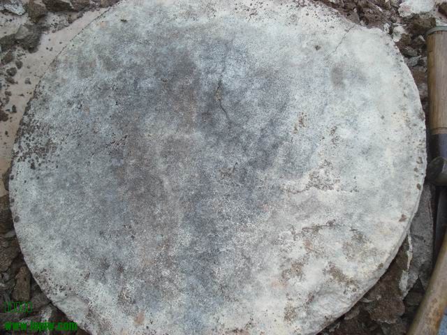 DSC01251.JPG