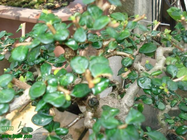 DSC01257.JPG