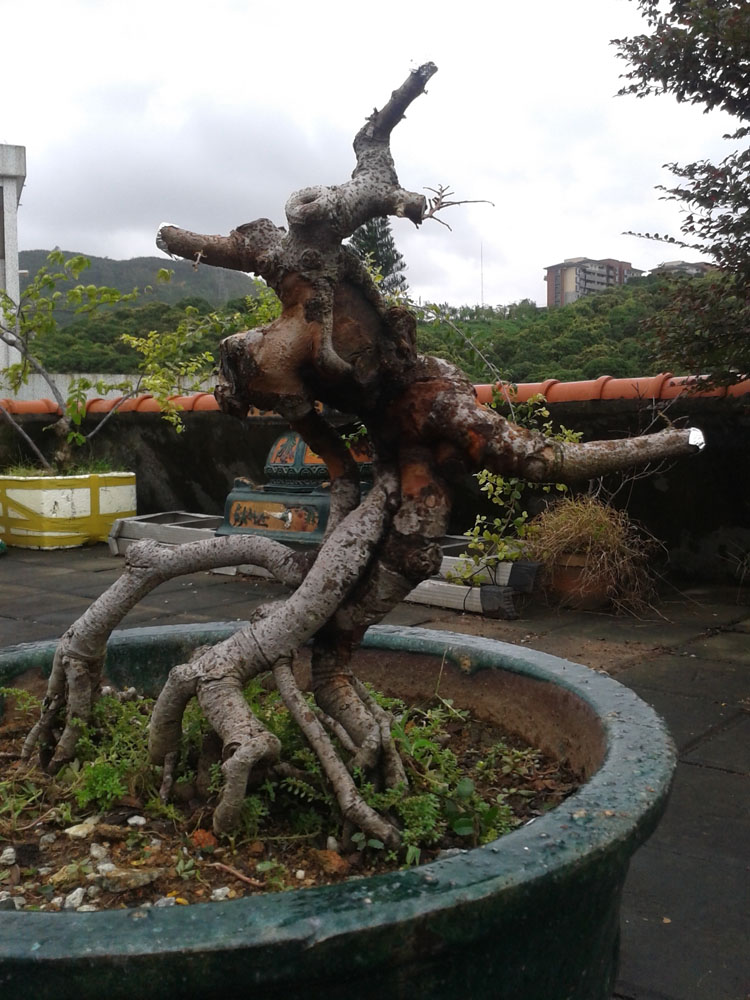 20130815_092931.jpg