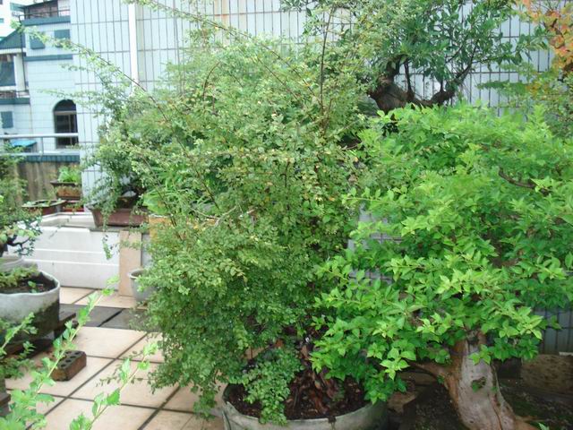 DSC01261.JPG
