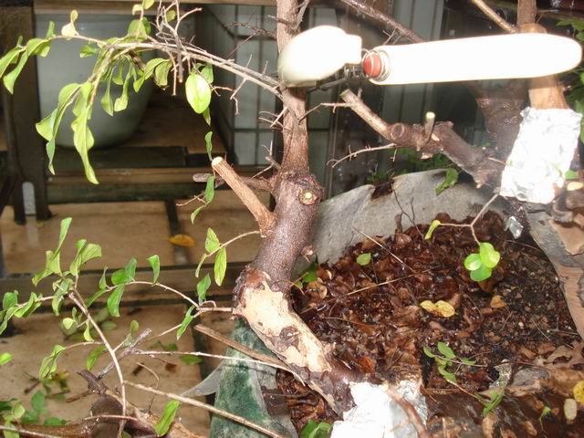 DSC01268.JPG