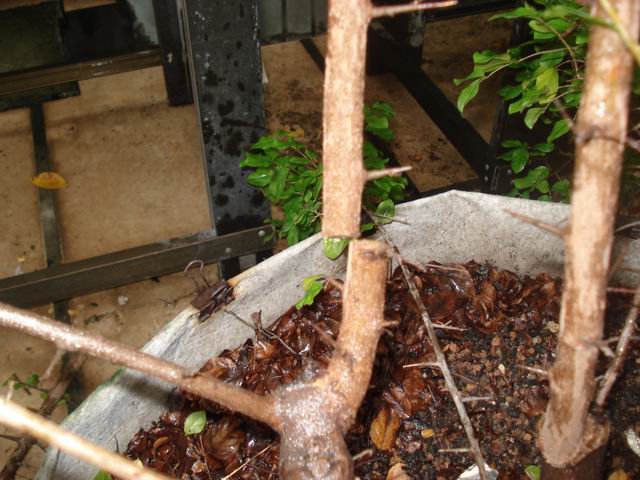 DSC01271.JPG