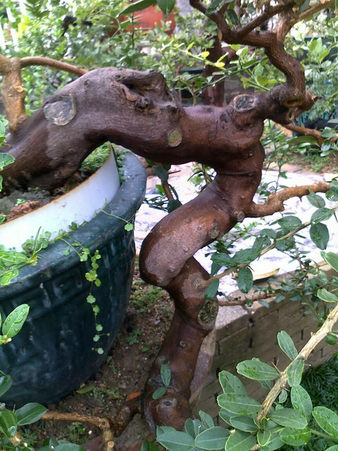 20120623599.jpg