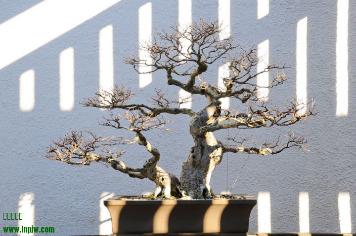 01.jpg