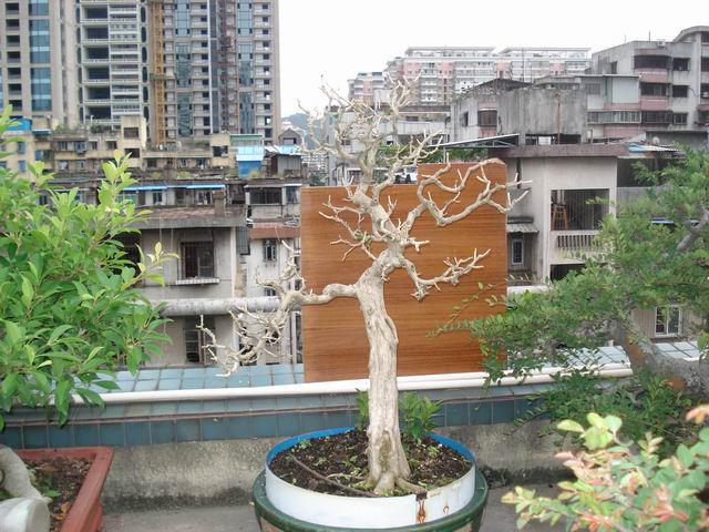 DSC01324.JPG