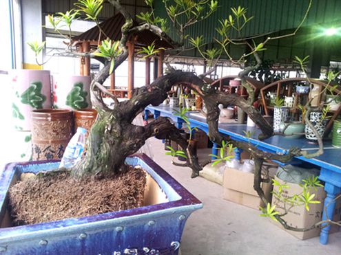 20130816_172607.jpg