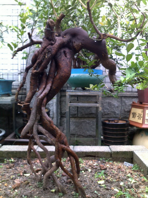 20120623592.jpg