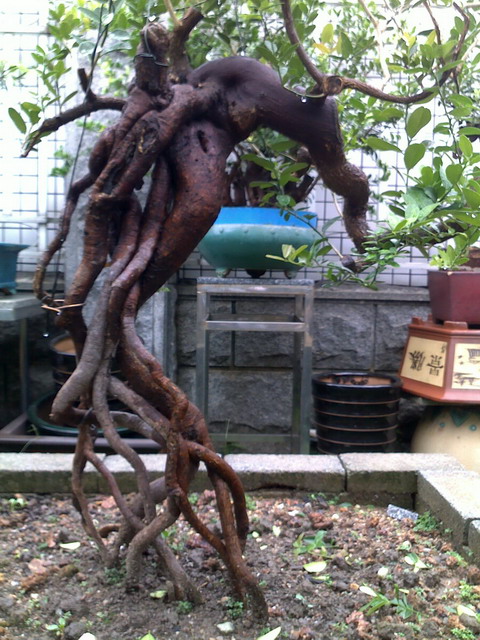 20120623593.jpg