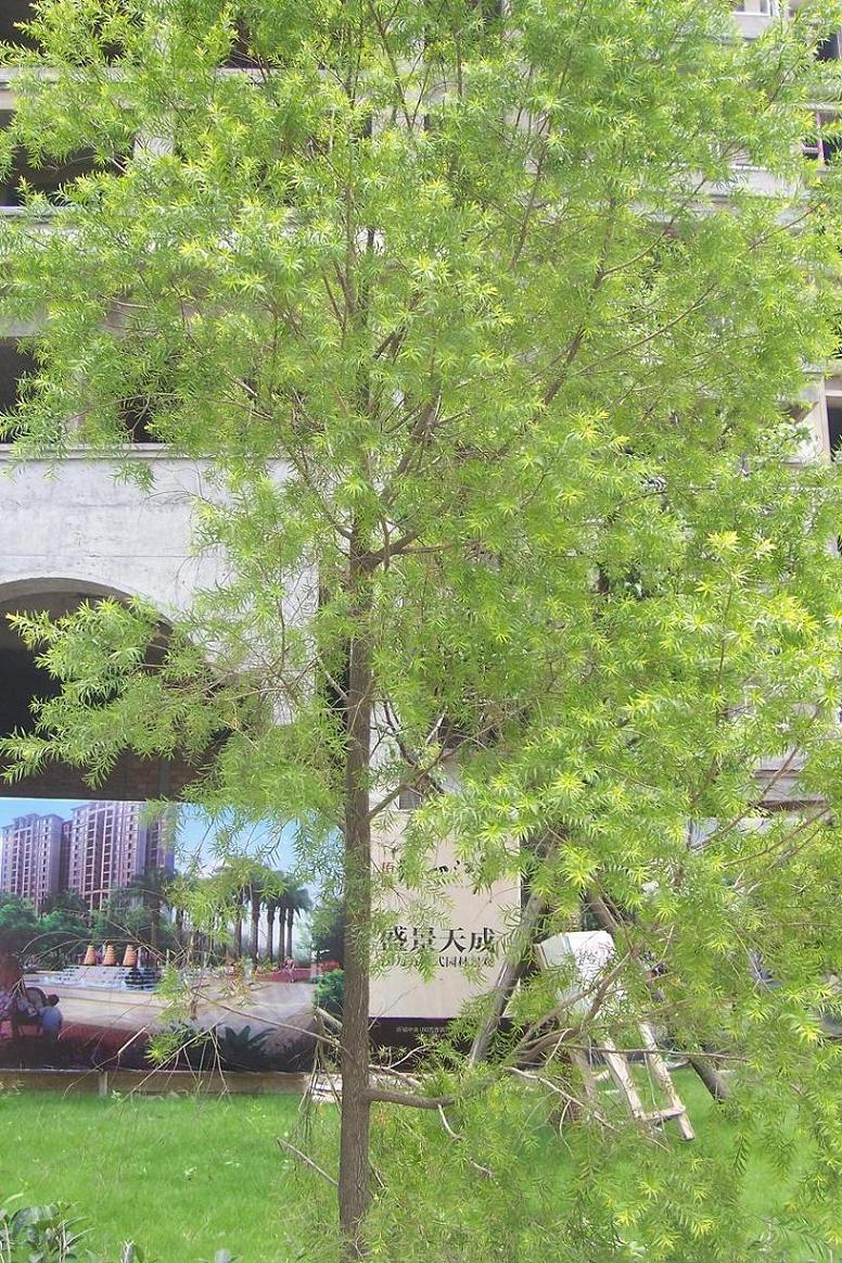100_6295.JPG