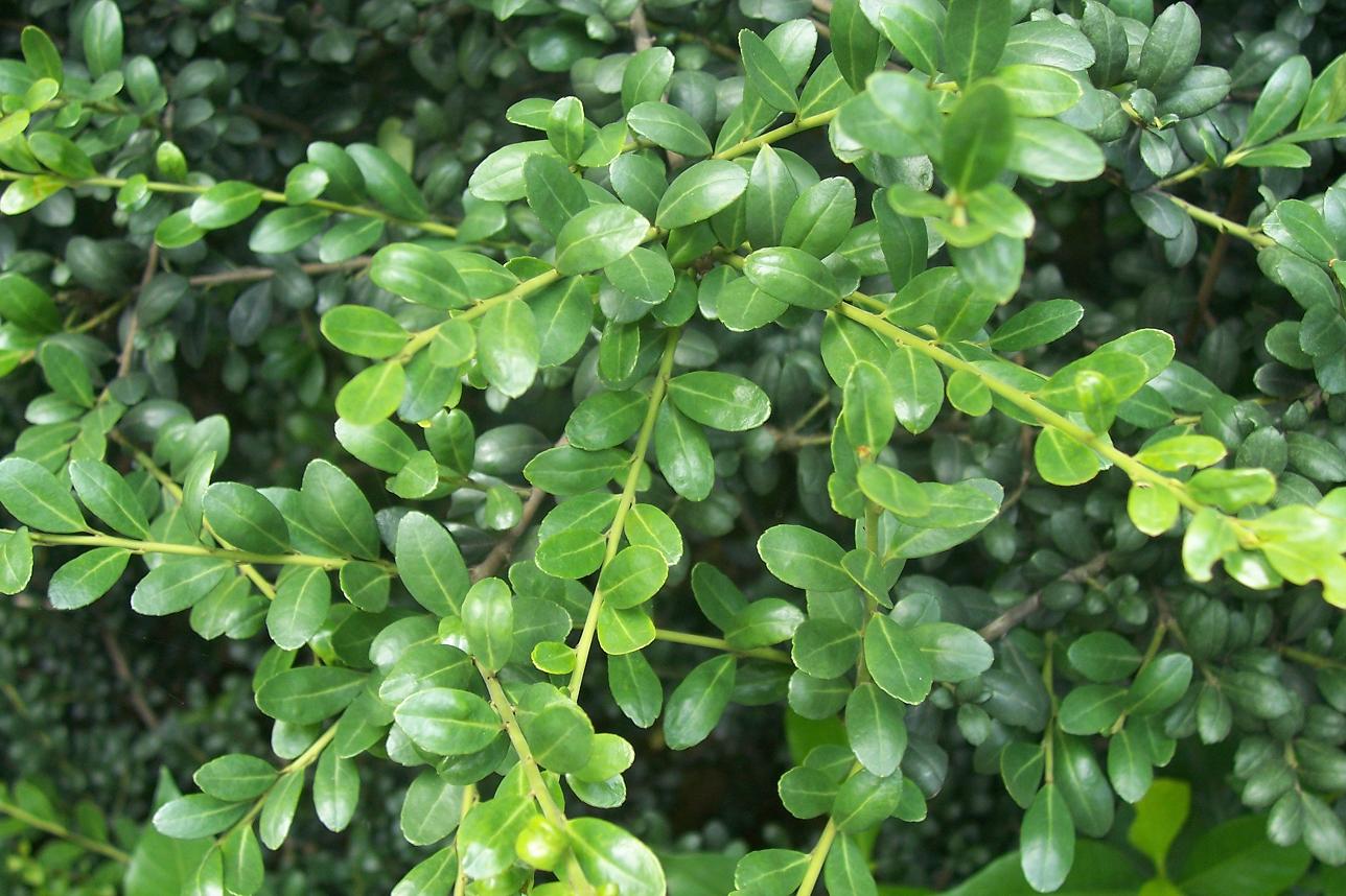 100_6293.JPG