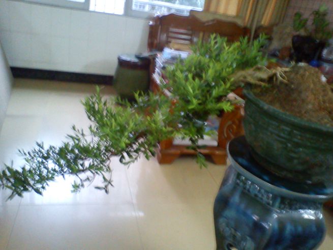 DSC01362.jpg
