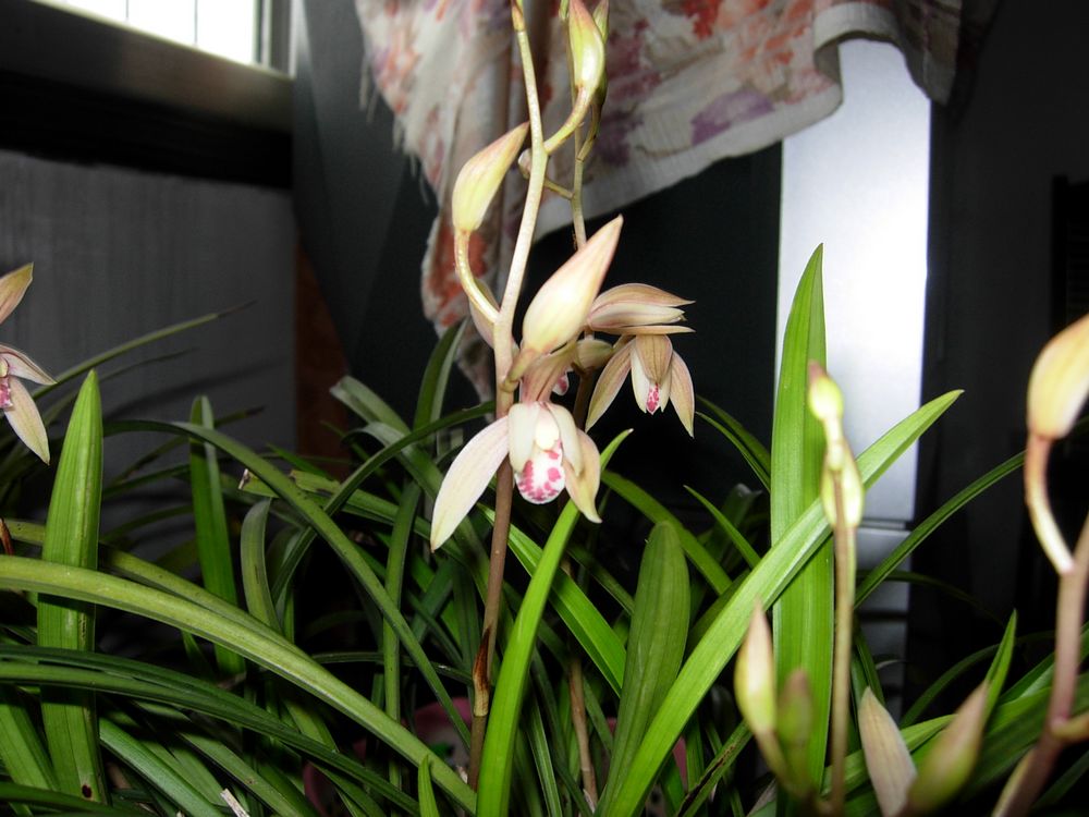 DSCN0366.JPG