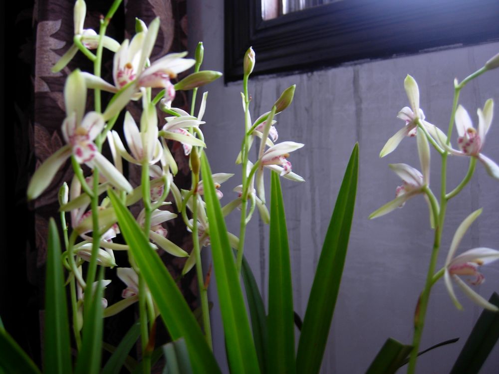DSCN0376.JPG
