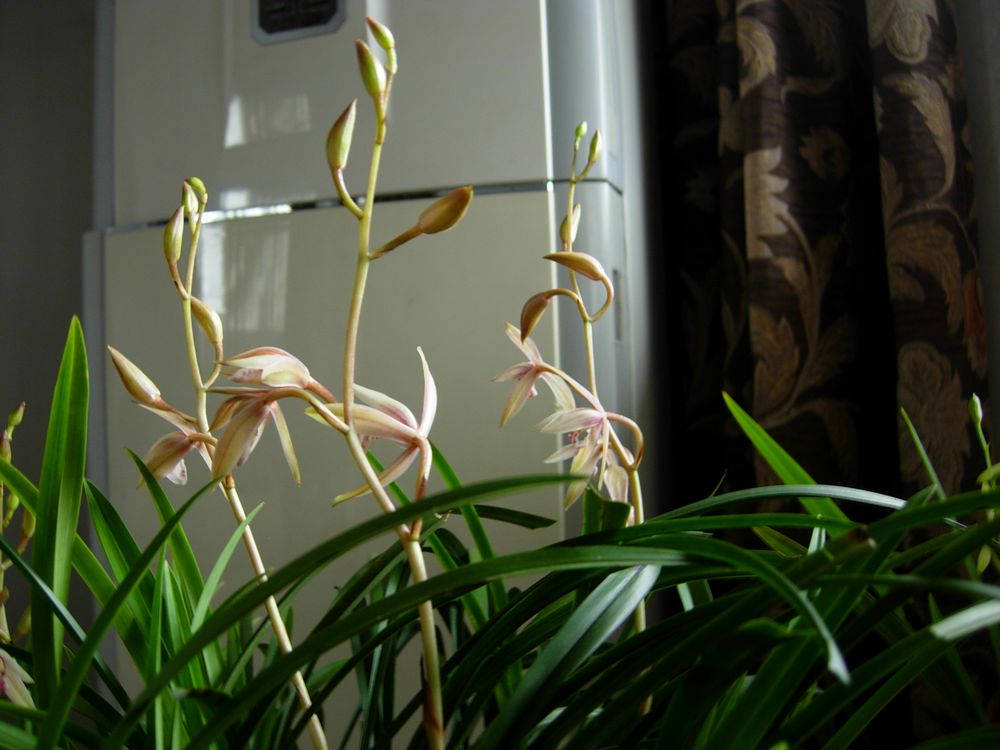 DSCN0379.JPG
