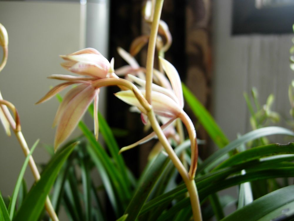 DSCN0380.JPG