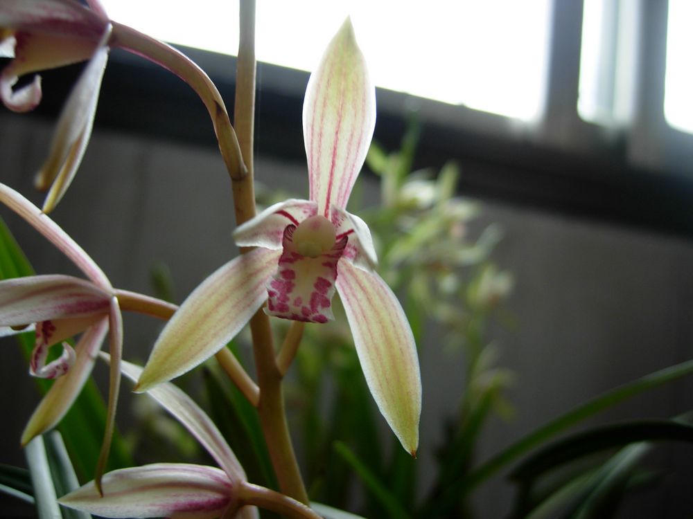 DSCN0395.JPG