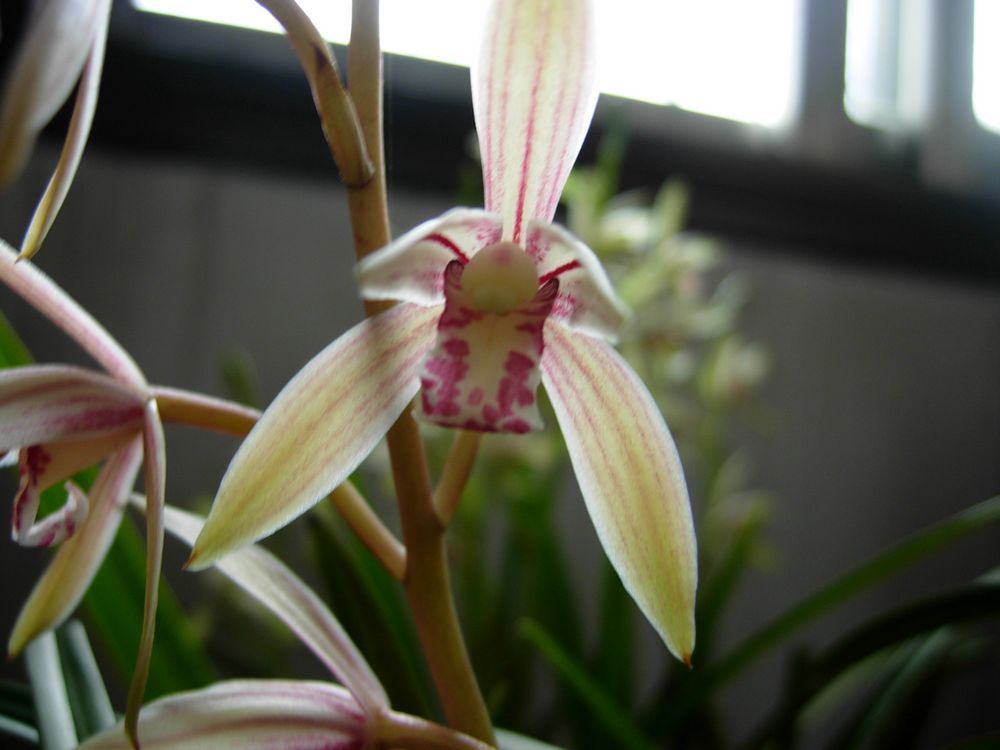 DSCN0397.JPG