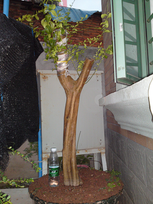 20130711259_.jpg