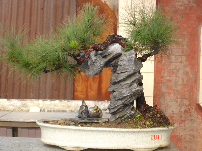 ʯ3.jpg