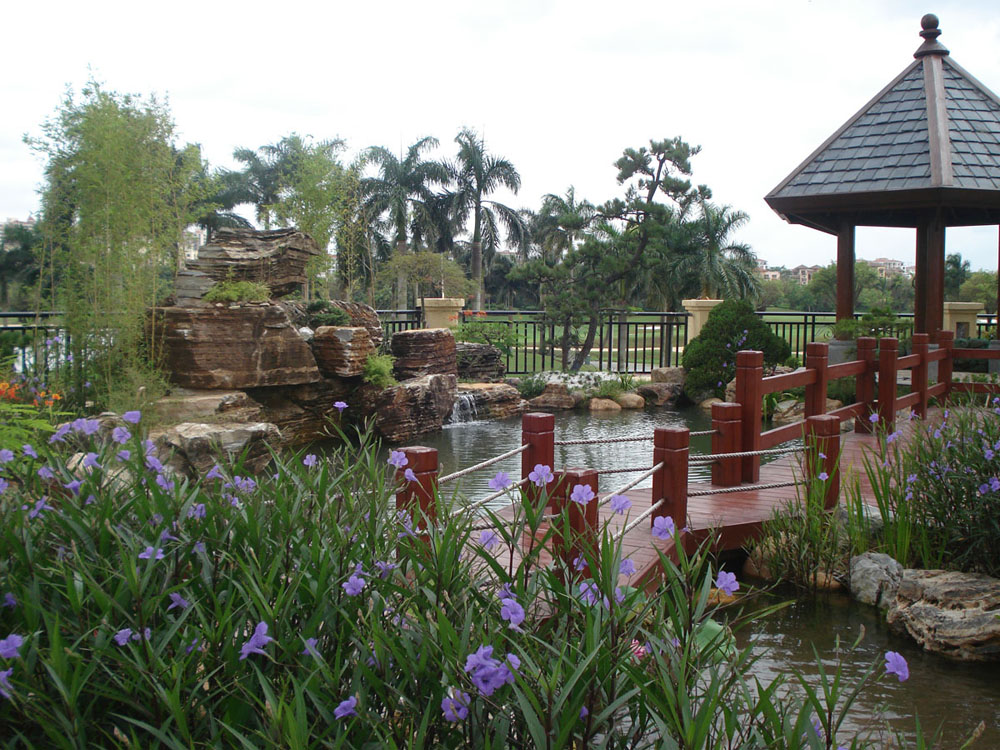 DSC00148.JPG