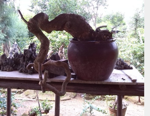 QQͼƬ20130820204404.jpg