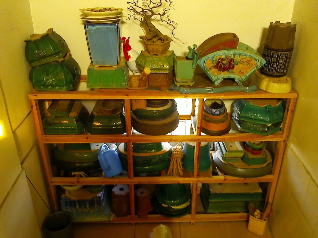 IMG_20130821_081157.jpg