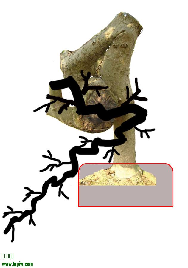 112709krlt5zimntntvrpp.jpg.jpg