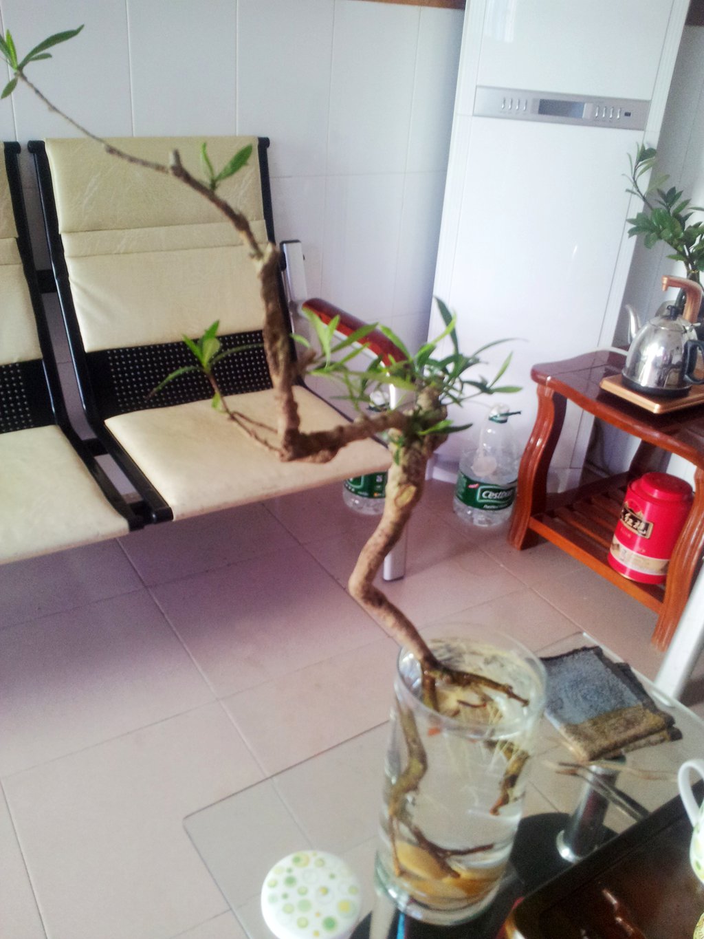 ˮˮ֦052.jpg