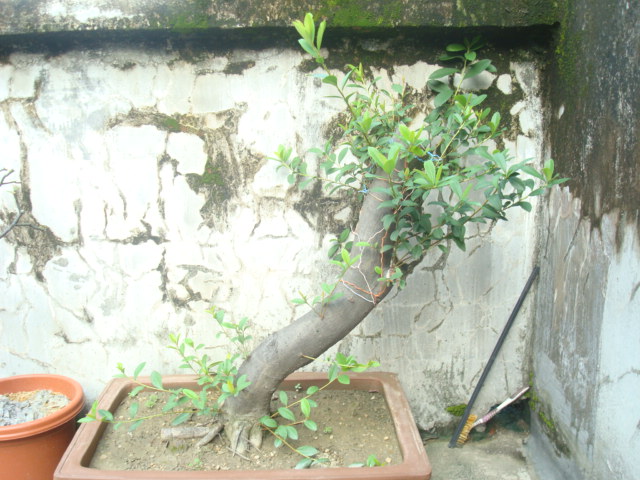 DSC03765.JPG