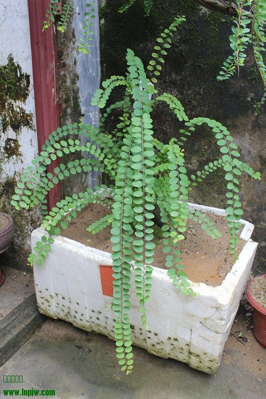 psb (2).jpg