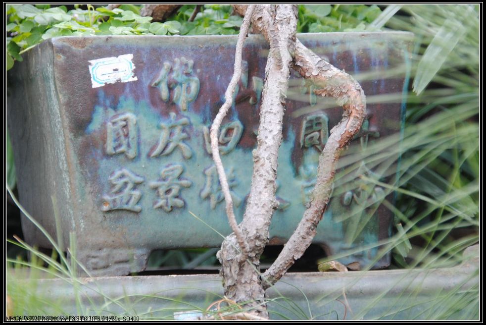 DSC_0307.jpg